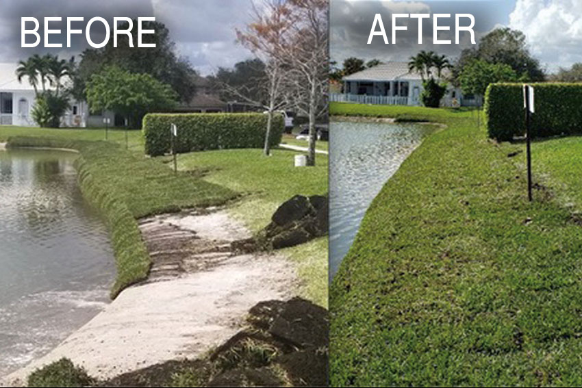 Lake Management Services Palm Beach Aquatics for lake fountain and