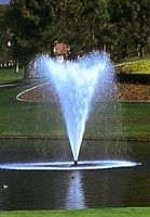 Crown Gusher Fountain