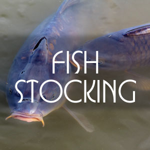 Fish Stocking for Florida Ponds and Lakes, like bass or grass eating carp