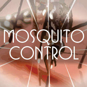 Mosquito Control for Lakes and Ponds in West Palm Beach