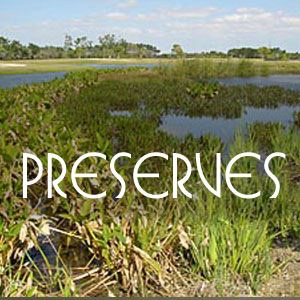 keep your wetland, upland preserves and littoral zones healthy