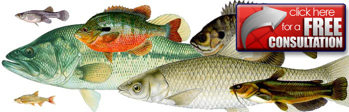 Fish Stocking Services