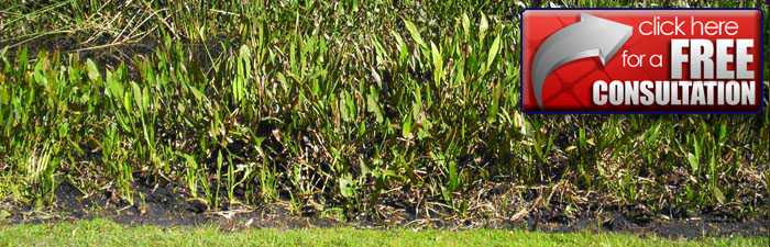 Gulf CoastLakes and Wetlands